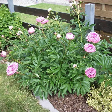 Gartenblick Mit Balkon * Maasholm