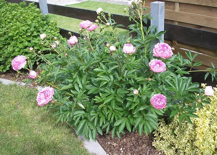 Gartenblick Mit Balkon * Maasholm